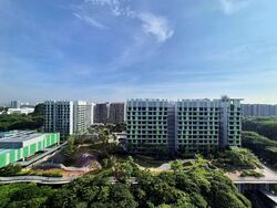 Bidadari Park Drive (D13), Condominium #562311031